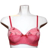 Soutien gorge Vichy et Cerises brod&eacute;es
