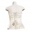 Corset Style Victorien